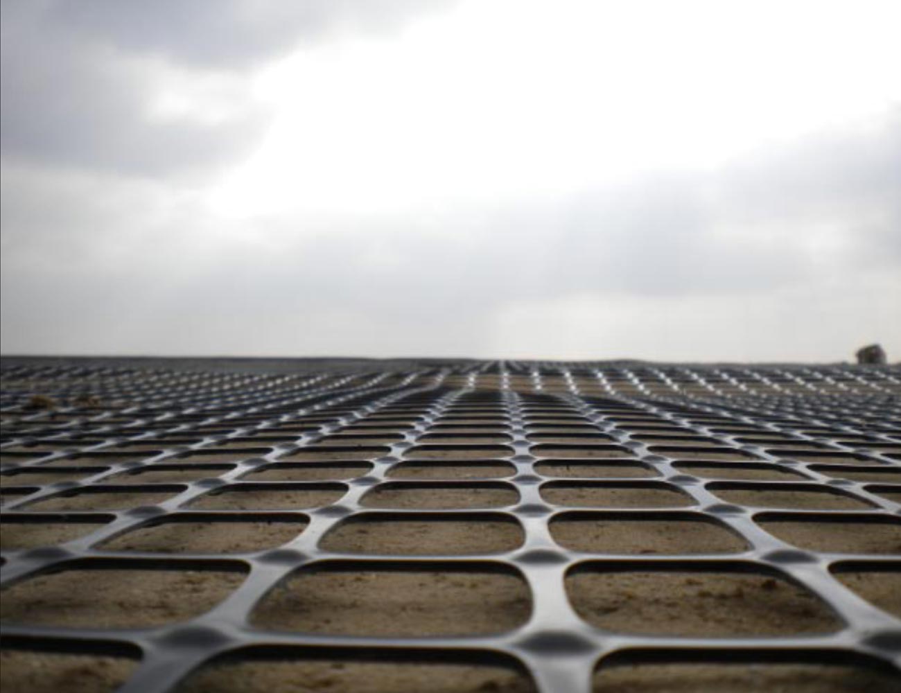 Geogrids